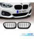 GRELHA DESPORTIVA BMW F20 F21 LCI 15-19 DUPLA LAMINA PRETO MATE