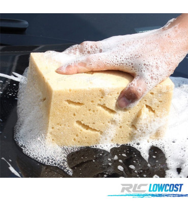 ESPONJA ULTRA ABSORVENTE